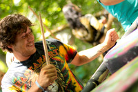 Gratifly Fans & Workshops 2014