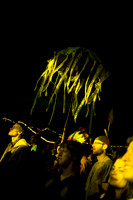 Suwannee Hulaween Music Festival Fans and Crowd 2014