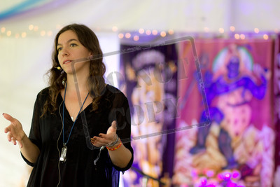 Arise Music and Art Festival 2014