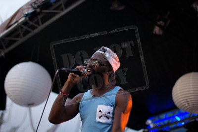 Arise Music and Art Festival 2014