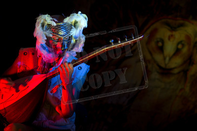 Arise Music and Art Festival 2014