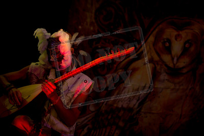 Arise Music and Art Festival 2014