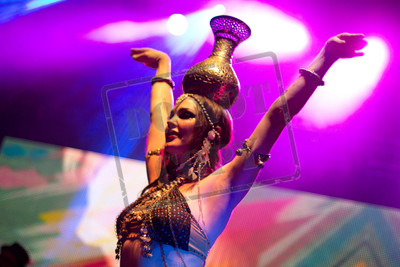 Arise Music and Art Festival 2014