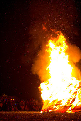Earthdance Florida Music Festival 2014