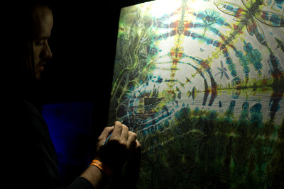 Earthdance Florida Music Festival 2014