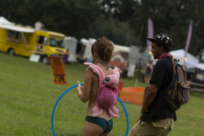 Earthdance Florida Music Festival 2014