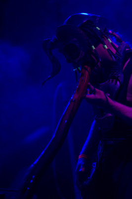 Earthdance Florida Music Festival 2014