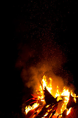 Earthdance Florida Music Festival 2014