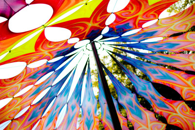Earthdance Florida Music Festival 2014