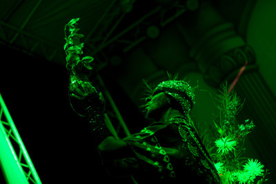 Earthdance Florida Music Festival 2014