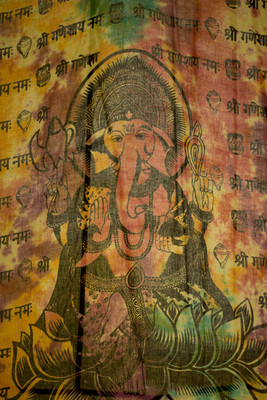 Earthdance Florida Music Festival 2014