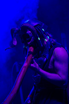 Earthdance Florida Music Festival 2014