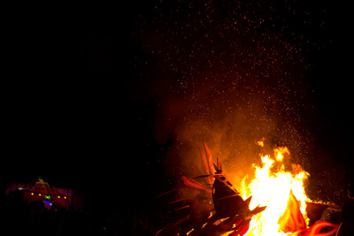 Earthdance Florida Music Festival 2014