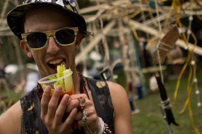 Earthdance Florida Music Festival 2014