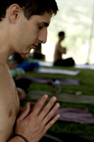 crowd and fan photographs