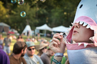 Rootwire Music & Arts Festival Fans 2012