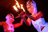 ARISE Performers 2013