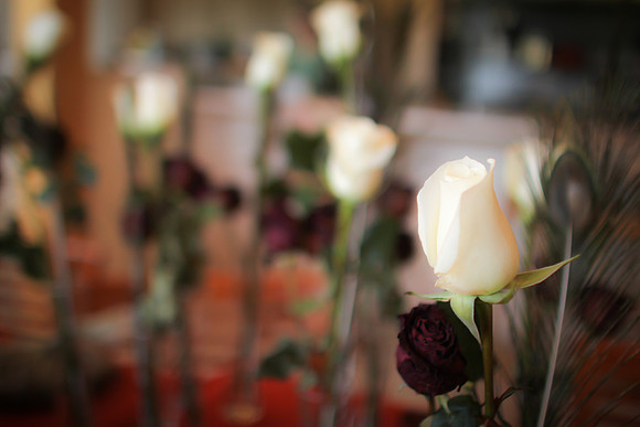 Colorado Red Rocks Wedding